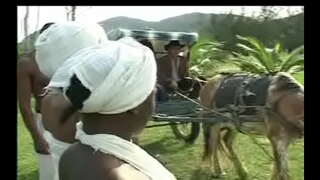 ���ា Negras ដា senzala